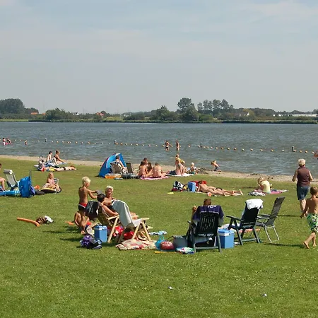 Modern In South Holland
