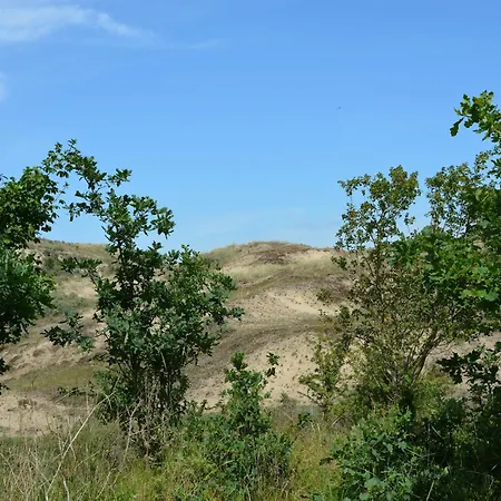 In Near