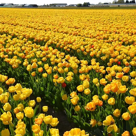 In Near Prázdninový dům